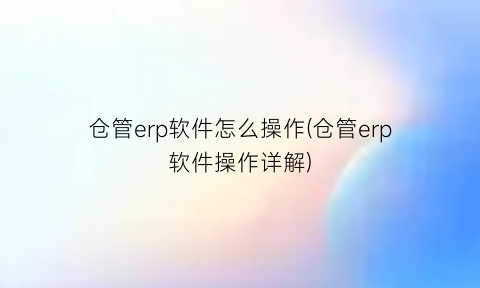 仓管erp软件怎么操作(仓管erp软件操作详解)