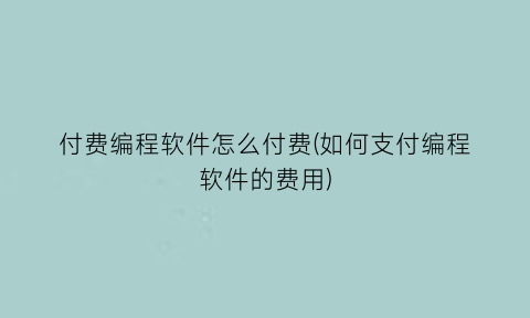 “付费编程软件怎么付费(如何支付编程软件的费用)