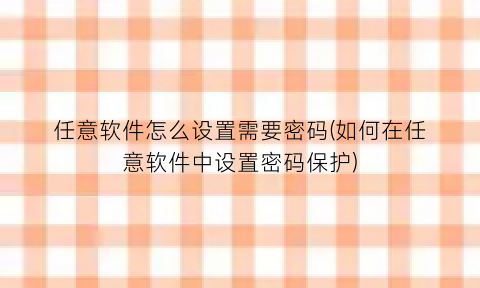 任意软件怎么设置需要密码(如何在任意软件中设置密码保护)