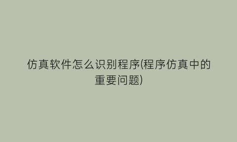 仿真软件怎么识别程序(程序仿真中的重要问题)