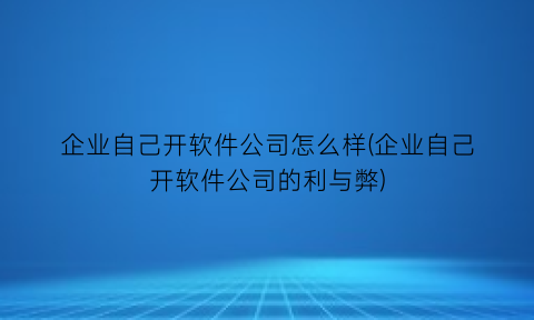 企业自己开软件公司怎么样(企业自己开软件公司的利与弊)