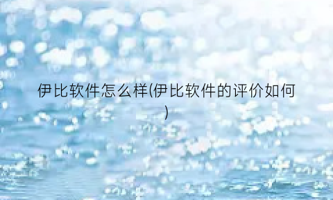 伊比软件怎么样(伊比软件的评价如何)