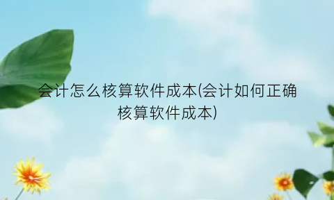 会计怎么核算软件成本(会计如何正确核算软件成本)