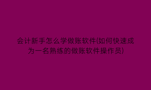 “会计新手怎么学做账软件(如何快速成为一名熟练的做账软件操作员)