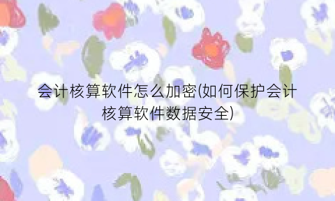 会计核算软件怎么加密(如何保护会计核算软件数据安全)