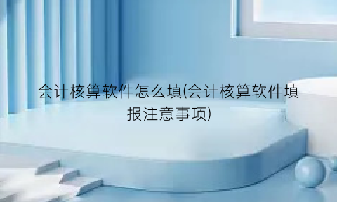 “会计核算软件怎么填(会计核算软件填报注意事项)