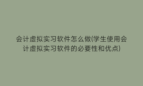 会计虚拟实习软件怎么做(学生使用会计虚拟实习软件的必要性和优点)