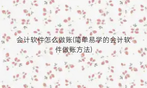 会计软件怎么做账(简单易学的会计软件做账方法)