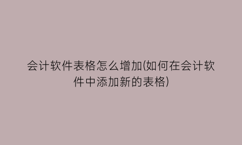 “会计软件表格怎么增加(如何在会计软件中添加新的表格)