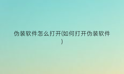 伪装软件怎么打开(如何打开伪装软件)