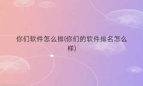 “你们软件怎么排(你们的软件排名怎么样)