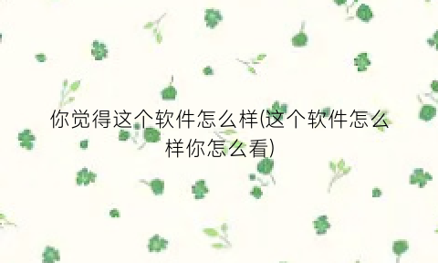 你觉得这个软件怎么样(这个软件怎么样你怎么看)