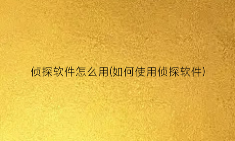 “侦探软件怎么用(如何使用侦探软件)