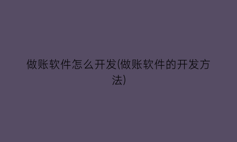 做账软件怎么开发(做账软件的开发方法)