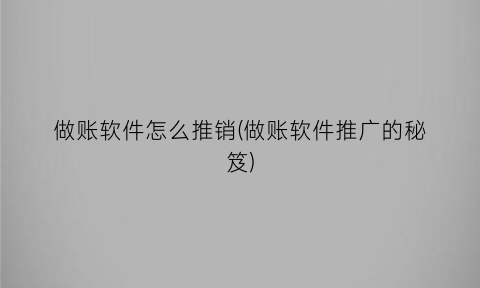 “做账软件怎么推销(做账软件推广的秘笈)