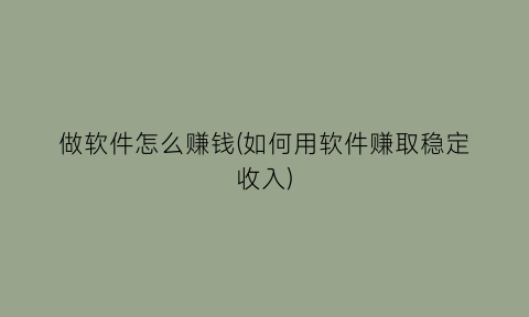 做软件怎么赚钱(如何用软件赚取稳定收入)