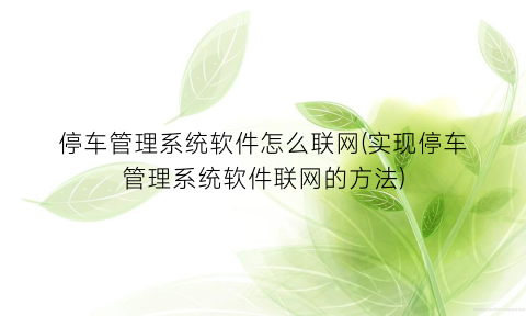 “停车管理系统软件怎么联网(实现停车管理系统软件联网的方法)