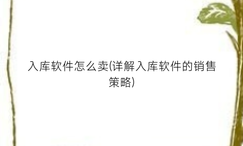 “入库软件怎么卖(详解入库软件的销售策略)