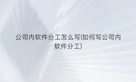 “公司内软件分工怎么写(如何写公司内软件分工)