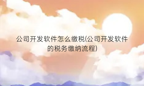 公司开发软件怎么缴税(公司开发软件的税务缴纳流程)