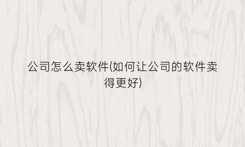 “公司怎么卖软件(如何让公司的软件卖得更好)