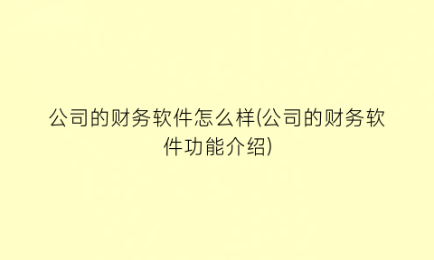 “公司的财务软件怎么样(公司的财务软件功能介绍)