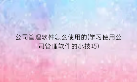 公司管理软件怎么使用的(学习使用公司管理软件的小技巧)