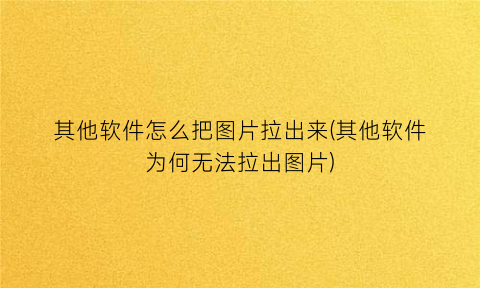 其他软件怎么把图片拉出来(其他软件为何无法拉出图片)