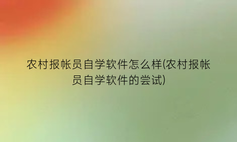 农村报帐员自学软件怎么样(农村报帐员自学软件的尝试)