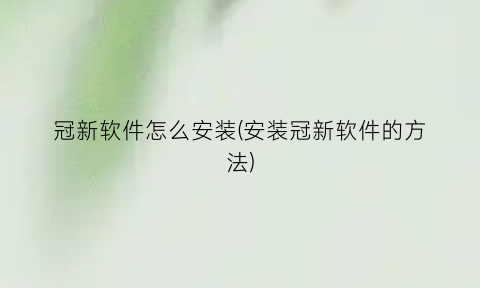 冠新软件怎么安装(安装冠新软件的方法)