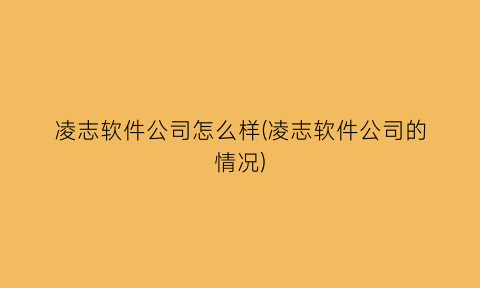 凌志软件公司怎么样(凌志软件公司的情况)