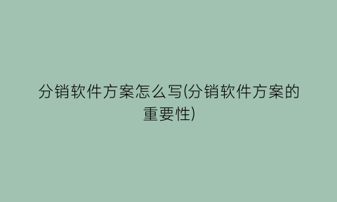 分销软件方案怎么写(分销软件方案的重要性)