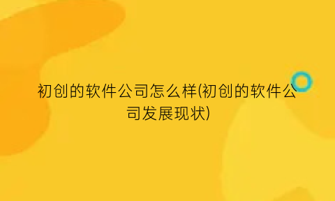 初创的软件公司怎么样(初创的软件公司发展现状)
