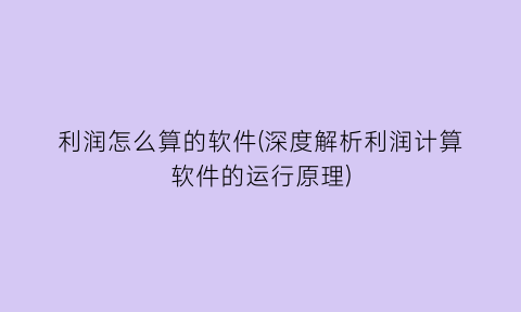利润怎么算的软件(深度解析利润计算软件的运行原理)