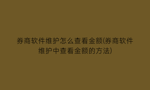 “券商软件维护怎么查看金额(券商软件维护中查看金额的方法)