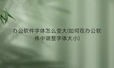 办公软件字体怎么变大(如何在办公软件中调整字体大小)