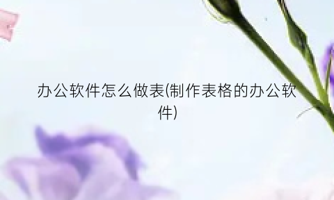 “办公软件怎么做表(制作表格的办公软件)