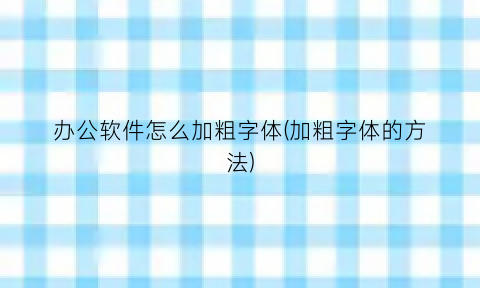 办公软件怎么加粗字体(加粗字体的方法)