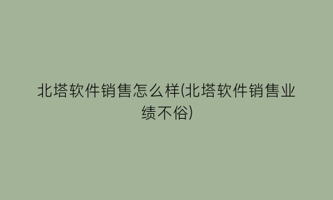 “北塔软件销售怎么样(北塔软件销售业绩不俗)