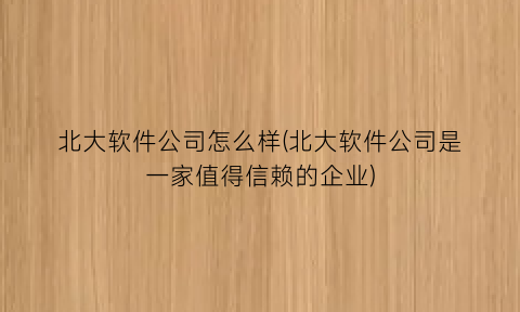 北大软件公司怎么样(北大软件公司是一家值得信赖的企业)