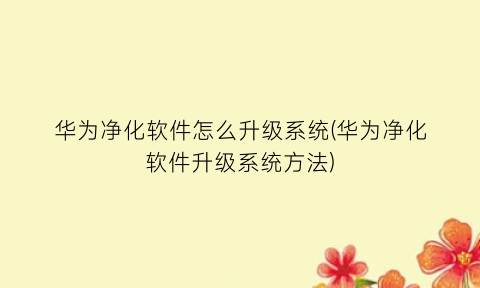 华为净化软件怎么升级系统(华为净化软件升级系统方法)