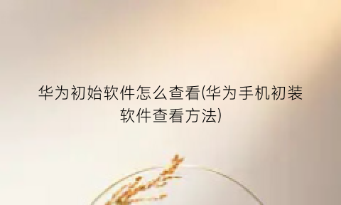 “华为初始软件怎么查看(华为手机初装软件查看方法)