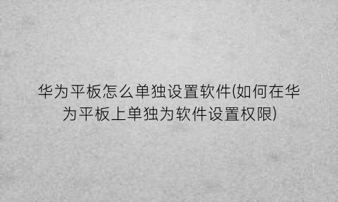 “华为平板怎么单独设置软件(如何在华为平板上单独为软件设置权限)