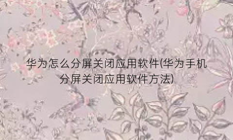 华为怎么分屏关闭应用软件(华为手机分屏关闭应用软件方法)