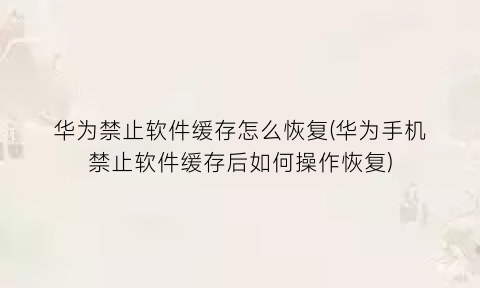 “华为禁止软件缓存怎么恢复(华为手机禁止软件缓存后如何操作恢复)