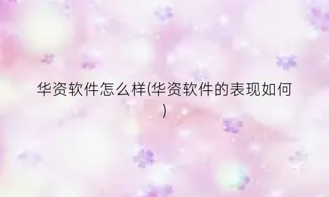 华资软件怎么样(华资软件的表现如何)