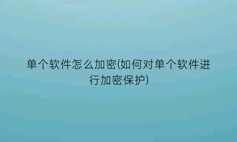 “单个软件怎么加密(如何对单个软件进行加密保护)