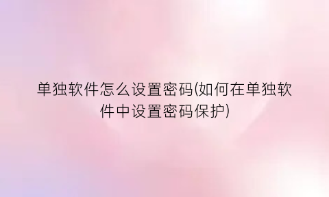 “单独软件怎么设置密码(如何在单独软件中设置密码保护)