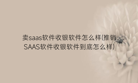 卖saas软件收银软件怎么样(推销SAAS软件收银软件到底怎么样)