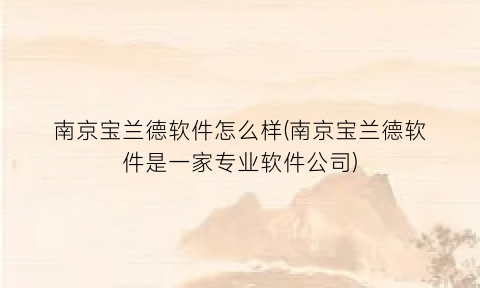 “南京宝兰德软件怎么样(南京宝兰德软件是一家专业软件公司)